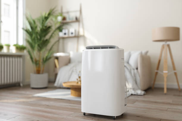 Best HVAC tune-up services  in Elk River, MN